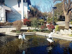 -广富林宰相府酒店·水云间