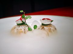 -觀芷隐轩