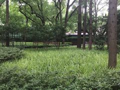 -徐家汇源景区-衡山公园