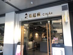 -莓超疯