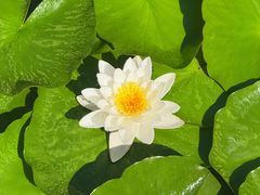 -桑干河大峡谷旅游区