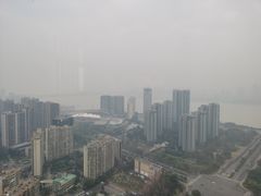 -悦厅·下午茶(杭州柏悦酒店)
