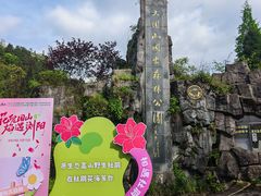 -大围山国家森林公园