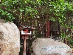 -观唐（国际）度假村温泉