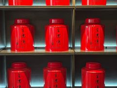 -王德传茶庄(上海新天地店)