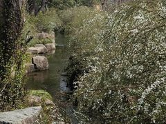 -中国茶叶博物馆(双峰馆区)
