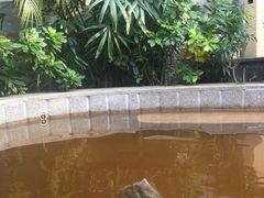 -南宫温泉水世界