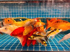 -熙成烧烤(白塔岭店)