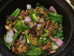 啫啫生肠-石岐乳鸽村(南海第三分店)