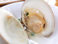 沙白豆腐芜茜汤-明记海鲜大排档(巽寮湾店)