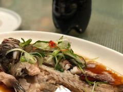 -常州环球恐龙城维景国际大酒店