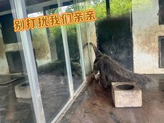 -上海野生动物园