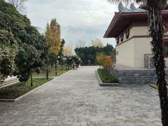 -洛阳古墓博物馆