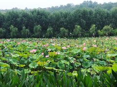 -渭南桃花源民俗文化园