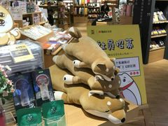 -九木杂物社(恒隆广场店)
