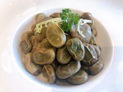 蚕豆-菩提树·素食餐厅(汇智国际商业中心店)