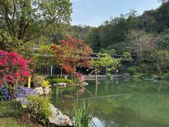 -云溪植物园
