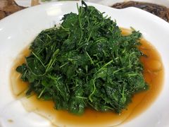 草头圈子-老人和饭店(打浦路店)