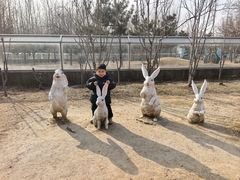 -秦皇岛野生动物园