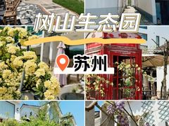-树山生态村