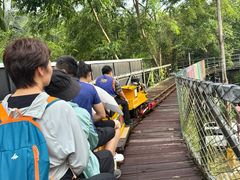 -海南槟榔谷黎苗文化旅游区