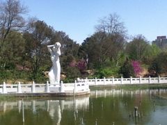 iphone_upload_pic-丰台花园