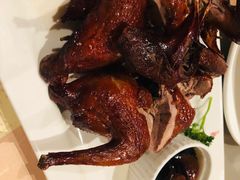 红烧乳鸽-太平馆餐厅(尖沙咀店)