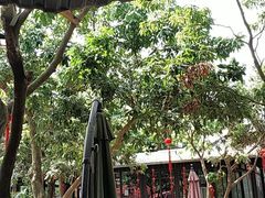 -御霞苑泥烩鸡休闲农庄