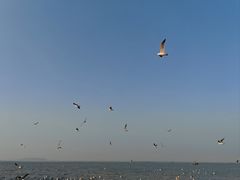 -三仙山风景区-蓬莱仙岛