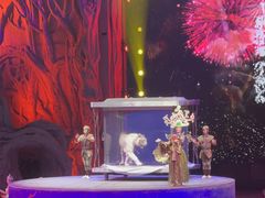 -广州长隆国际大马戏