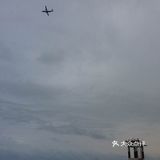 当然要看到鲸鱼还得有大运气才行