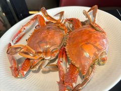 -连鹭海鲜·海肠捞饭·海胆饭(星海店)