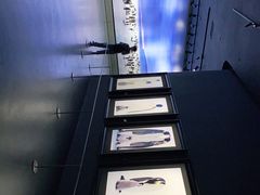 -罗红摄影艺术馆