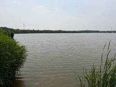 -西青郊野公园