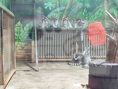 -西安秦岭野生动物园