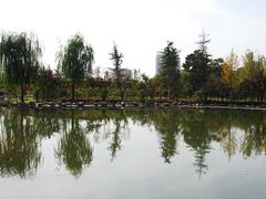 -木塔寺遗址生态公园