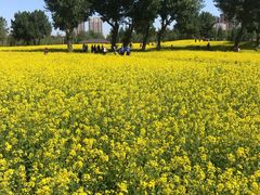 -长白岛森林公园