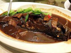 -骏莱海鲜鱼港(五角场店)