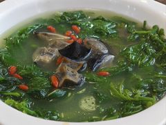 上汤天然桑叶-幸福茗点茶楼(五羊店)