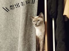 -宠颐生中康贝怡动物医院