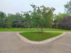 -莫子山公园