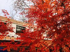 -星巴克(上海交通大学店)