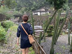 -MOJ coffee(瓯海泽雅水碓坑店)