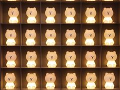 -line friends(明洞旗舰店)