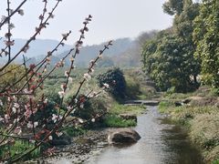 -中国茶叶博物馆(双峰馆区)