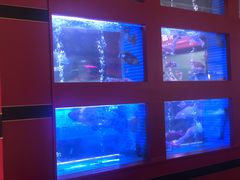 -东富酒家(龙湖西溪天街店)