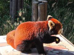 -宁波野生动物园