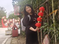 -武汉紫薇都市田园