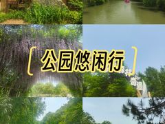 -同里国家湿地公园