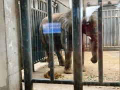 -鄂尔多斯野生动物园